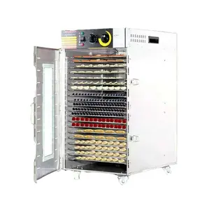 Intelligent New Product Recommendation Commercial Fruit Dryer For Sale
