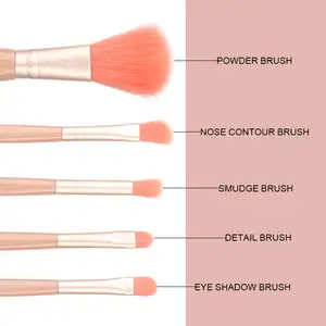 5Pcs Small Complete Function Cosmetic Brushes Portable Make Up Brush Kit Travel Size Makeup Brushes Set With Mirror Plastic Case