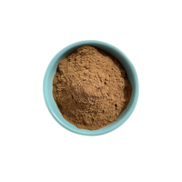 Ciyuan Fabriek Leverancier Hete Verkoop Groothandelsprijs Kaneelbast Extract Poeder