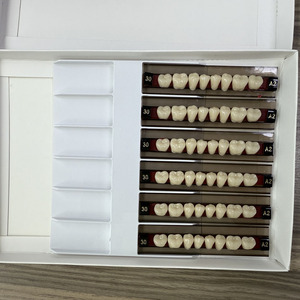 Matériel de laboratoire <span class=keywords><strong>dentaire</strong></span> : Kit complet de dents en résine acrylique composite synthétique, deux couches, manuel inclus, <span class=keywords><strong>pour</strong></span> <span class=keywords><strong>prothèse</strong></span> <span class=keywords><strong>dentaire</strong></span> - Product Image 3