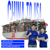 Équipes de distribution de fret sur palette Chine-Australie, transitaire DDP, taxes payées, transit stable porte-à-porte, fret maritime LCL DDP DDU