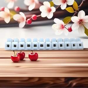 94-V2 Klasse T110 450V Steck klemmen block <span class=keywords><strong>2</strong></span>, 5 mm2 Kabel verdrahtung mit Kunststoffs ch raube Hochspannung für sichere Verbindungen - Product Image 2