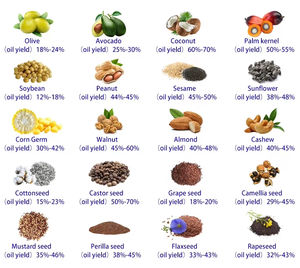 Prensa automática de aceite para el hogar de cuatro cabezales Habilidades de prensado de cuatro semillas de acero inoxidable de alta calidad para aceite de oliva y nuez - Product Image 4