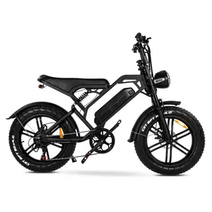 V20 E-Bike Upgrade Fette Reifen Mountain E-Bike Sport-Elektrofahrrad Stadt-Elektrofahrrad 250 W E-Bike V20 Fatbike Europa