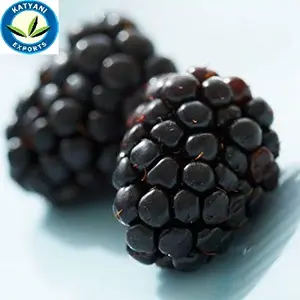 Black Berry Seed Oil Best & 100% Organic Natural for Skin Benefits
