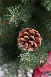 Wholesale Selling 3.5ft Eco-Friendly Pvc Artificial <b>Christmas</b> <b>Tree</b> Customizable Size <b>Christmas</b> <b>Tree</b> - Product Image 6