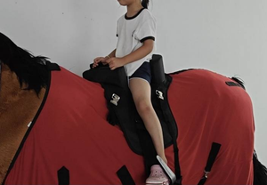 Asiento Doble para Niños, Saddle Buddy - Product Image 6