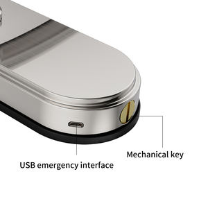 Serrure de porte de style minimaliste moderne en alliage de zinc de logiciel gratuit de prix usine adaptée à la <span class=keywords><strong>maison</strong></span> de <span class=keywords><strong>location</strong></span> - Product Image 5
