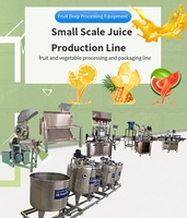 Kleinschalige Semi-Automatische Productielijn Voor Vruchtensap Maken Machine Productie Lline