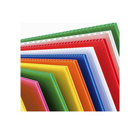 Petite urne de taille personnalisée en feuille ondulée PP pliante recyclable Coroplast boîte postale en plastique pour le ménage