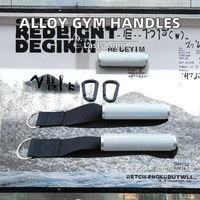 Poignée de machine à câble de gym en alliage d'aluminium, confortable, accessoires d'exercice de fitness avec attaches