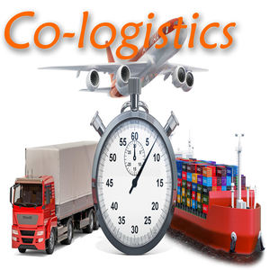 Servizi di Trasporto Marittimo Convenienti Dalla Cina: I Cinque Migliori Spedizionieri per l'Italia - Product Image 3