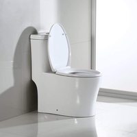 WC monobloc moderne en céramique blanche, qualité usine, à double chasse, siphon à gravité, à poser au sol, avec siège