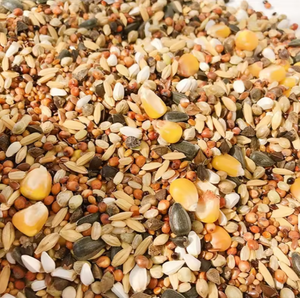 Piccoli animali di alta qualità cibo per animali domestici snack tratta semi Mix cibo criceto - Product Image 2