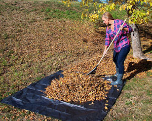 मिलियन चीन 8x10 10x6 काला हेंडपे पॉली तिरपिन तरबूज आपूर्तिकर्ता कंपनी कारखाने - Product Image 2