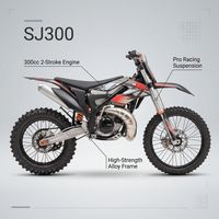 Stark Varg 300CC Off-Road Motorfiets 110km/u 100km Actieradius Grote Twin Talaria Dubbele Schijfrem Lichtgewicht Volwassen Motorfiets