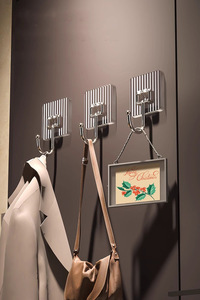 Light Luxury Modern Stylish Plastic Stainless Steel Adhesive Adjustable Wall <strong>Hooks</strong> Eco-Friendly Waterproof for <strong>Tools</strong> <strong>Hooks</strong> - Product Image 6