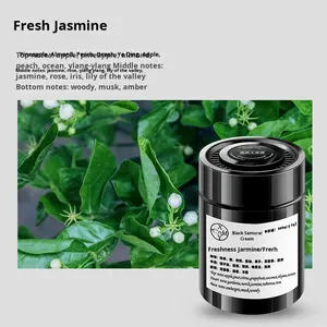 Ambientador y Perfume para Auto en Botella de Vidrio de Alta Gama con Fragancia Sólida para Eliminar Olores, Seguro para Mujeres Embarazadas y Bebés - Product Image 6