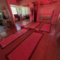 REDSKY 660nm 850nm Selimut Terapi Cahaya Merah Inframerah LED Berdenyut untuk Seluruh Tubuh & Wajah dengan Garansi 2 Tahun untuk Yoga Spa Gym