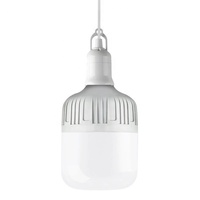 Ampoules Led T60 de haute qualité 20W avec prise E27 2M prise de fil ampoule T Led intérieure à économie d'énergie, ampoule LED-T