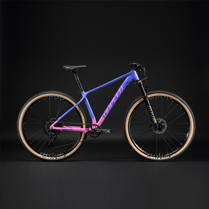 SUNPEED-bicicleta de aluminio de 29 pulgadas, bici de descenso, de montaña, 12 velocidades - Product Image 1