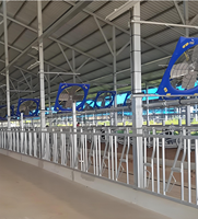 Estribo de alimentación para vacas de doble fila con diseño simétrico, que ahorra espacio, para granjas lecheras