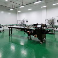 Machine d'emballage horizontale entièrement automatique SZ-350 pour sachets de glaces, sucettes, serviettes, biscuits et autres produits alimentaires à grande vitesse