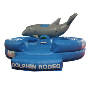 WINSUN Ensemble de jeu sportif gonflable d'extérieur avec dauphin, jeu gonflable pour enfants et adultes, intérieur/extérieur, en vente - Product Image 1