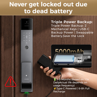 Serrure de porte intelligente vidéo OEM LNDU H02 avec caméra, écran 4,5 pouces, audio bidirectionnel, vision nocturne, batterie au lithium 5000 mAh