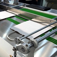 Mesin Cetak Otomatis Inkjet dengan Pengumpan Gesekan, Printer Single Pass untuk Pencetakan Kemasan Kantong Kertas