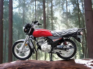 中国製 格安バイク 豪爵（Haojue）スタイル 150cc 4ストロークエンジン オートバイ - Product Image 2