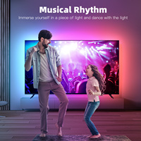 2.0 SYCN avec rétro-éclairage TV Led Immersive RGBIC Ambient Wifi Fancy Sycn Box