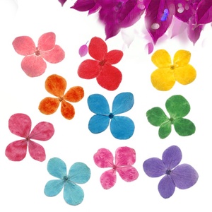 Flor prensada Real seca Hortensia - Product Image 2