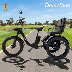Tricycle électrique de fret à trois <span class=keywords><strong>roues</strong></span> tendance, moteur central 48V, cadre en acier, batterie au lithium, moteur sans balais 750W, pneus larges - Product Image 1