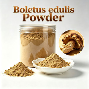 Polvo de Hongo Porcini <span class=keywords><strong>Boletus</strong></span> 80 Mesh - Extracto Fino Seco para Alimentos Saludables y Uso Culinario - Suministro al por Mayor - Product Image 1