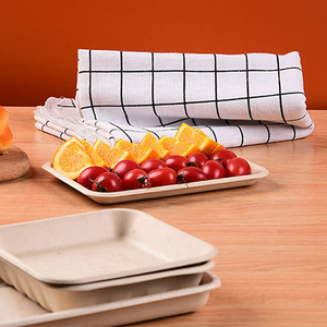 Bandejas Biodegradables <span class=keywords><strong>BIOPACK</strong></span> Tray48 de Bagazo de Caña de Azúcar para Alimentos, Carne, Verduras, Frutas, Uso en Fiestas, con Tamaño y Logotipo Personalizados - Product Image 5