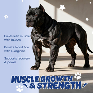 Muscle Builder Weight Gain High Protein Calcium Muscles Soft Chews Supplément de santé <span class=keywords><strong>pour</strong></span> chiens Suplementos Para Perros - Product Image 3