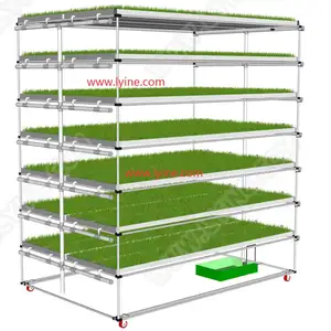 Cebada de trigo semillas de forraje animal brotes de crecimiento hidropónico de plántulas de rack