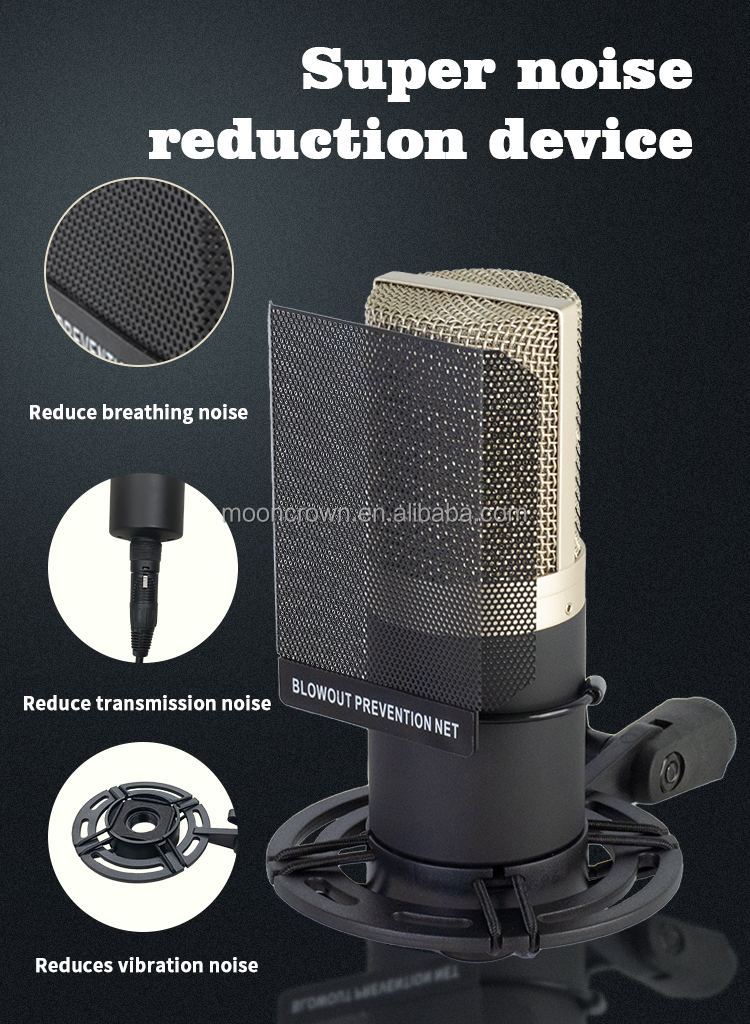 ZX-797 Condenser Microphone - Professional Recording Studio