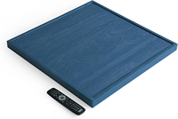 Plateau de service rustique 15x10 pouces, grand plateau en bois pour table basse, plateau en bois bleu