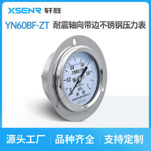 เกจวัดแรงดันสแตนเลส Suzhou Xuansheng YNBF60ZT ขนาด 60 มม. แบบติดตั้งบนแผง ทนทานต่อการสั่นสะเทือนตามแนวแกน พร้อมการเชื่อมต่อแบบเกลียว - Product Image 4