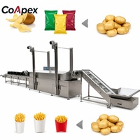 Ligne industrielle avancée pour frites surgelées/chips de pommes de terre/fruits, service OEM/ODM, capacité 100-500 kg/h, alimentation multi-tension