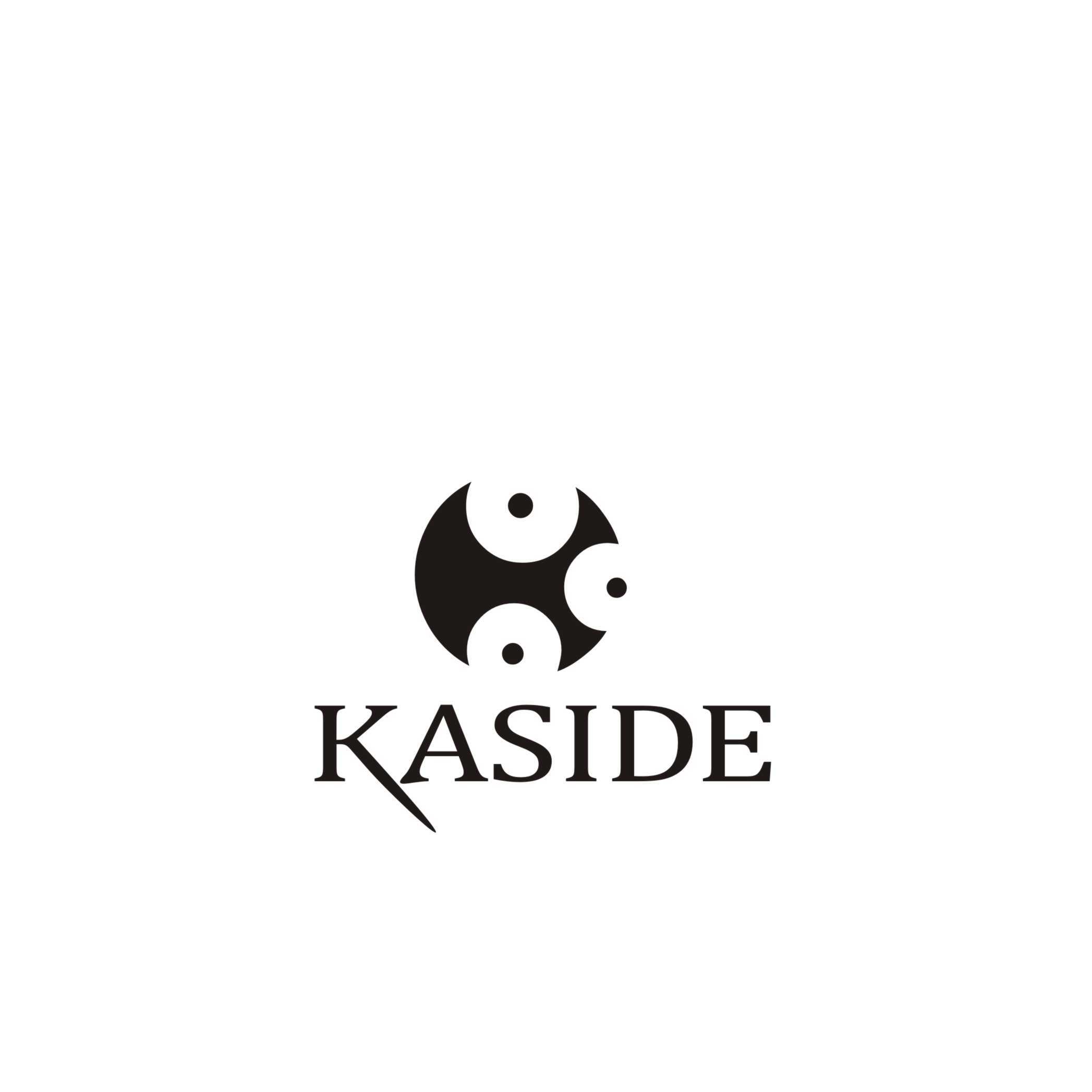 Zhejiang Kaside Technology Co., Ltd. logo