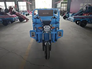 Triciclo eléctrico de carga de buena calidad, camión de carga, triciclo de China