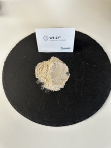 Weizy ผงแป้งกันแบคทีเรีย Heyndrickxia Coagulans 50มล. เกรดอาหารเกรดพรีเมี่ยม - Product Image 2