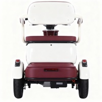 Tricycle électrique à 3 roues, scooter de mobilité avec siège enfant pliable et boîte de rangement, absorption des chocs, meilleur auto-rickshaw électrique