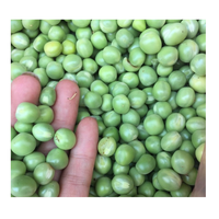 Petits pois verts lyophilisés croustillants au goût exquis, en vrac, pour une collation saine au quotidien
