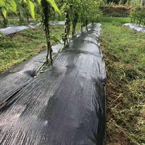 Film <span class=keywords><strong>de</strong></span> paillage agricole en PP, <span class=keywords><strong>toile</strong></span> tissée anti-mauvaises herbes, résistante aux UV, robuste, couverture <span class=keywords><strong>de</strong></span> <span class=keywords><strong>sol</strong></span>, <span class=keywords><strong>toile</strong></span> <span class=keywords><strong>de</strong></span> contrôle des adventices 60-220 g/m² 45-200 cm - Product Image 5