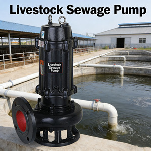 WQ <b>Submersible</b> Sewage Water <b>Pump</b> Heavy Duty for Building Basement & Construction Site Sewage Discharge - Product Image 6