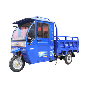 Triciclos motorizados de alta calidad con carrocería cerrada en oferta - Product Image 1